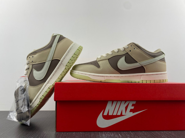 nike dunk low fb4961-012