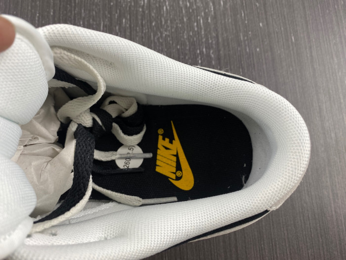 nike dunk low new