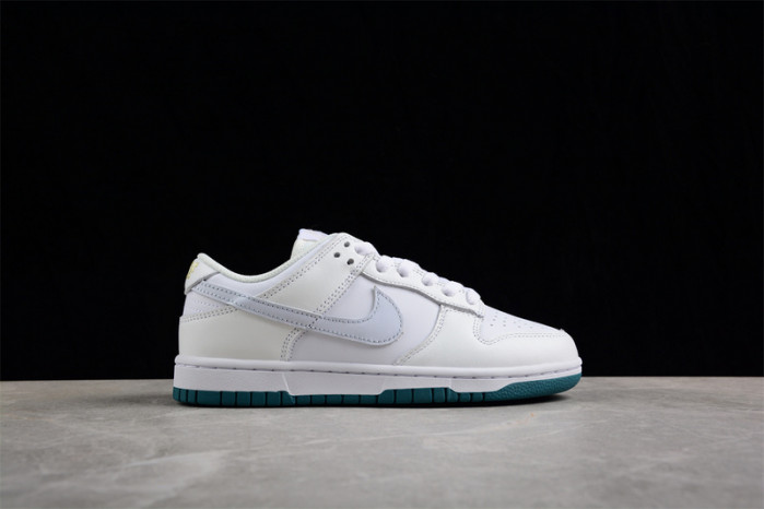 nike dunk low gs fd9911-101