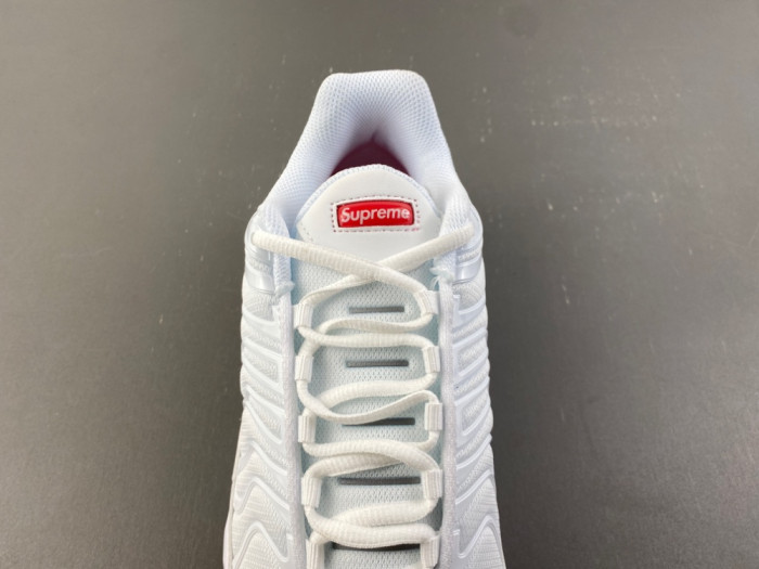 Nike Air Max Plus TN 