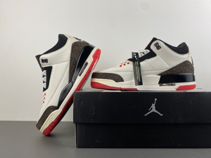 Air Jordan 3 Retro World